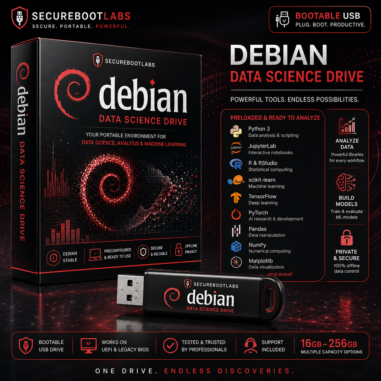 Debian Data Science Drive